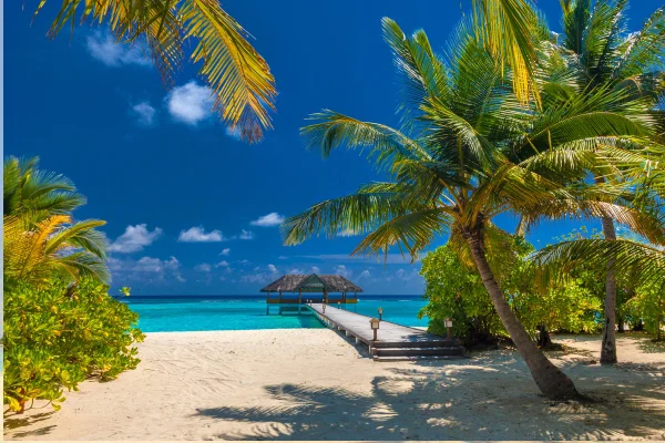 4 ستاره KAANI PALM BEACH