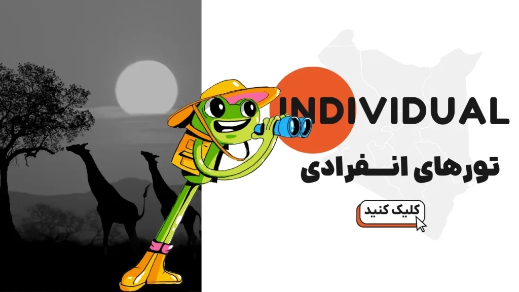 تورهای انفرادی
