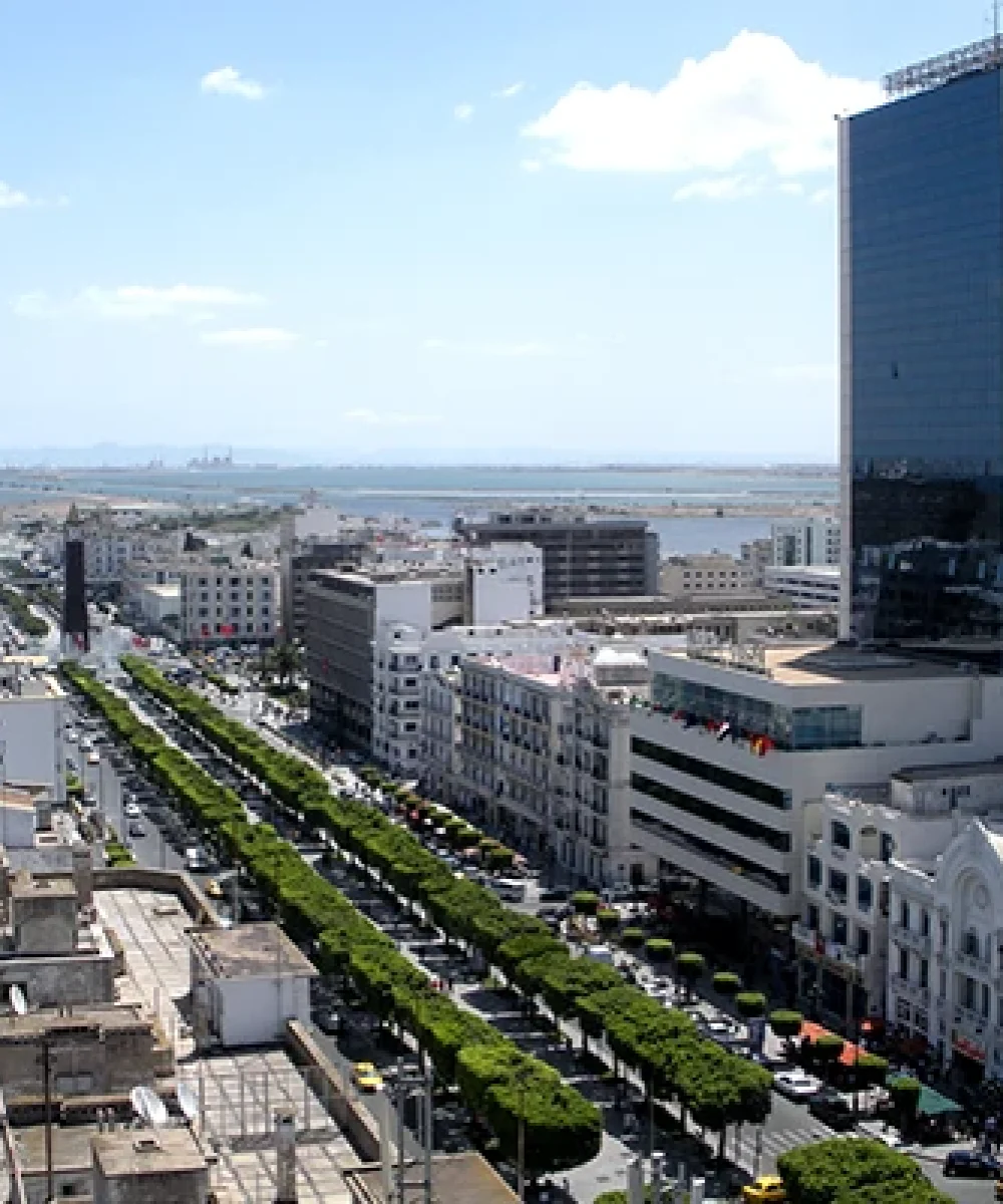تور تونس